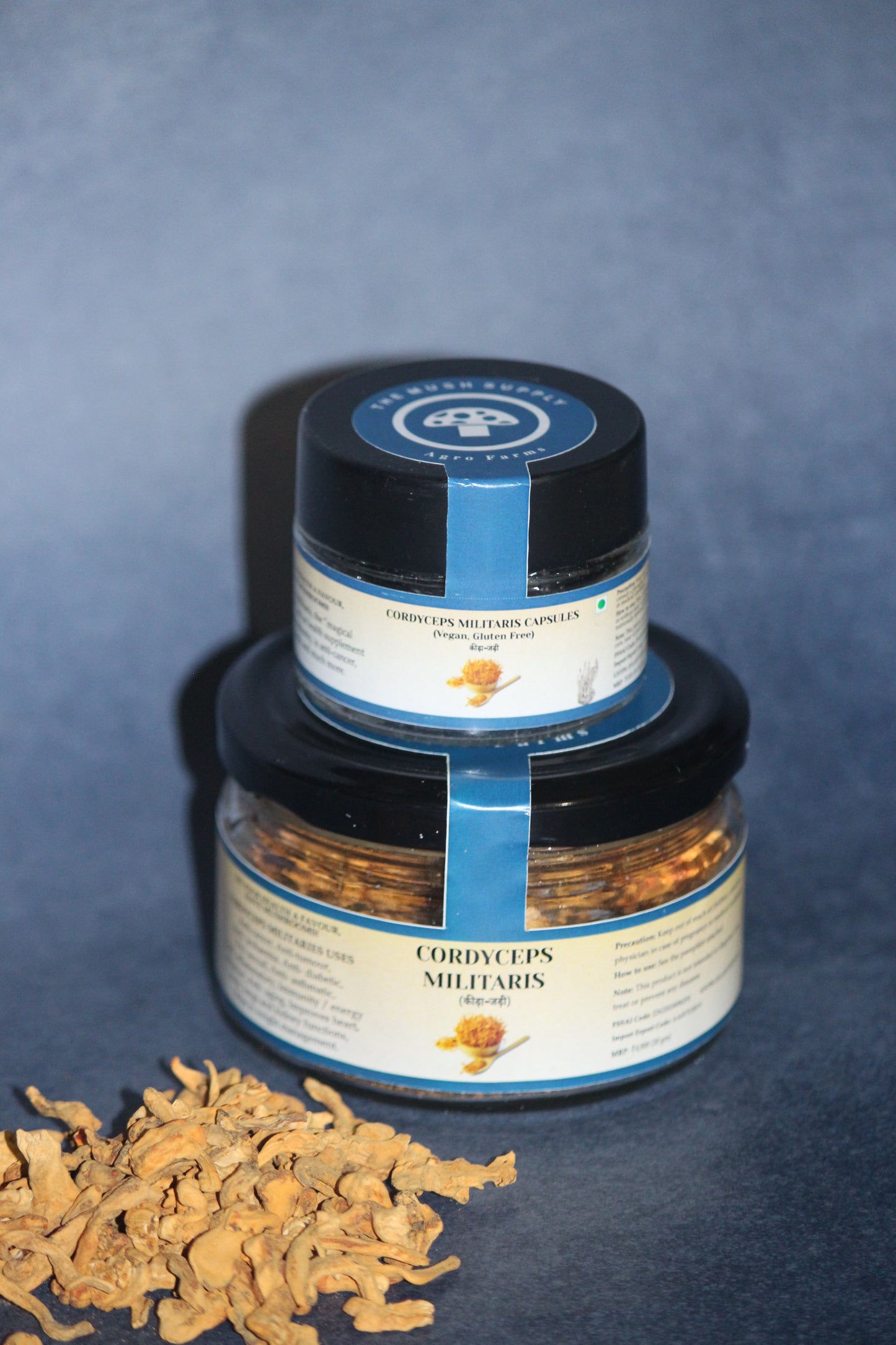 Cordyceps Militaris(KeedaJadi) Mushrooms (Starter - 7gm pack)