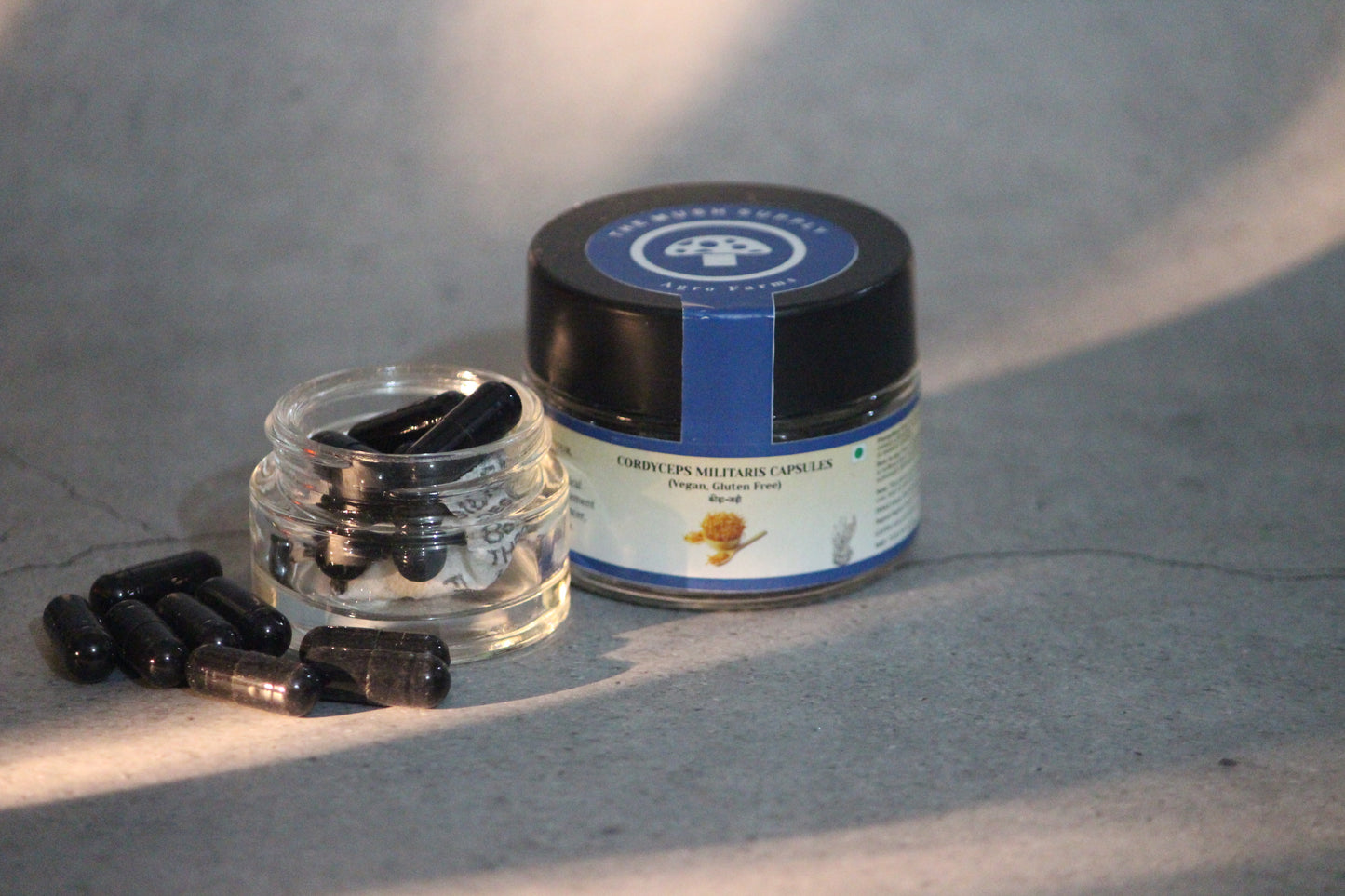 Cordyceps Militaris (KeedaJadi) Capsules (starter 14 capsules pack)