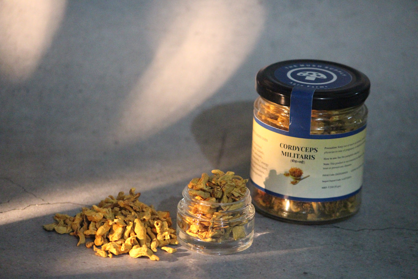 Cordyceps Militaris(KeedaJadi) Mushrooms (Starter - 7gm pack)