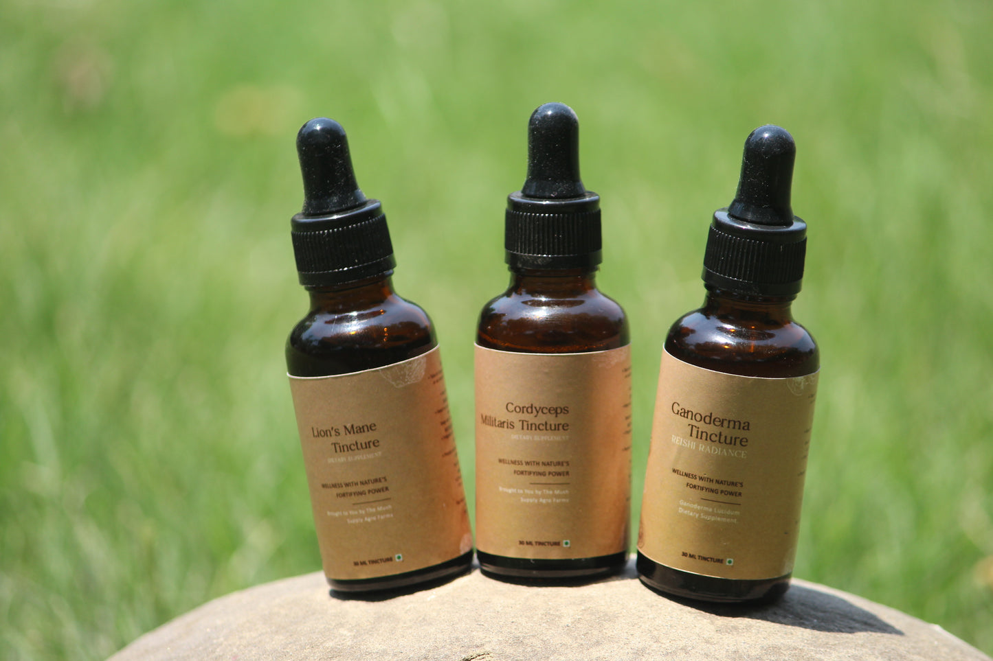 Lion’s Mane Tincture