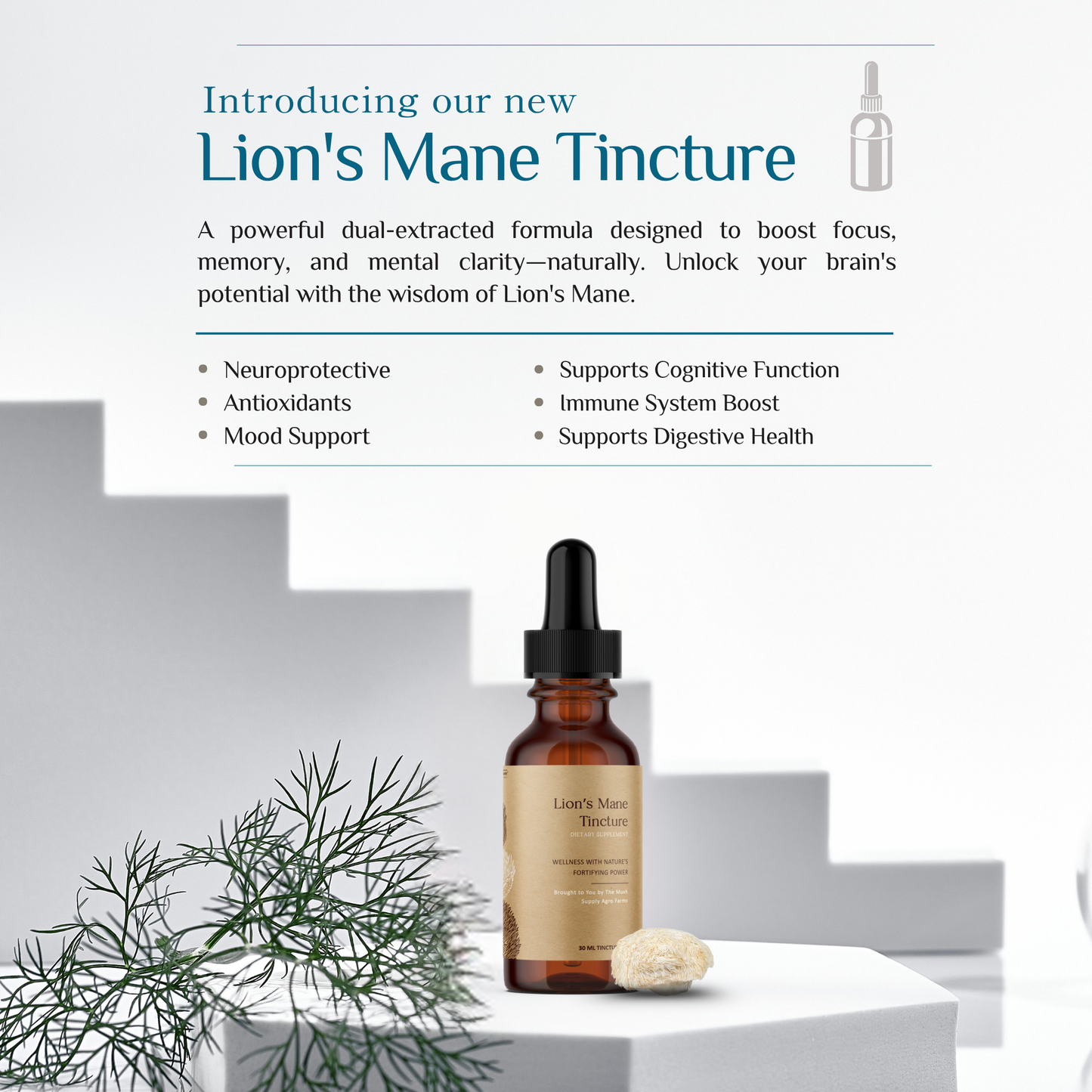 Lion’s Mane Tincture