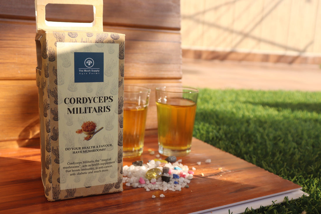 The Power of Cordyceps Militaris: Nature’s Hidden Superfood