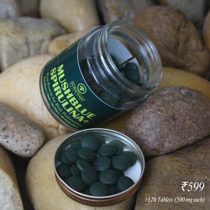 Spirulina+ Tablets - 120 Tablets (500 mg each)