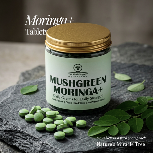 Moringa+ Tablets - 120 Tablets (500 mg each)