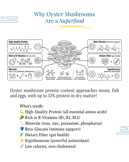 Sun Dried Oyster Mushrooms