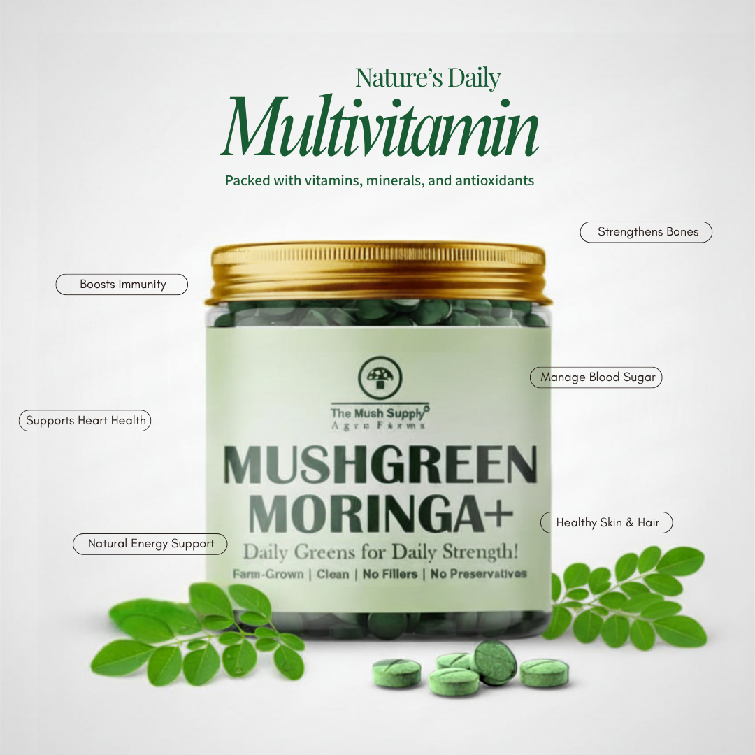 Moringa+ Tablets - 120 Tablets (500 mg each)