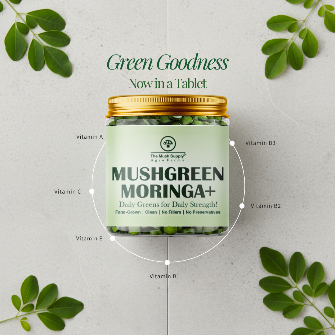 Moringa+ Tablets - 120 Tablets (500 mg each)