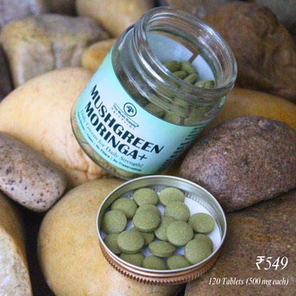 Moringa+ Tablets - 120 Tablets (500 mg each)