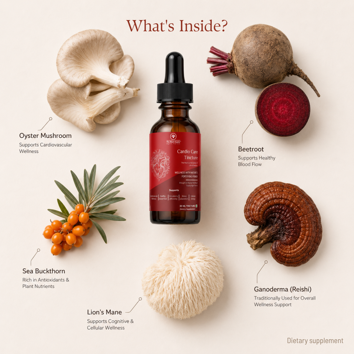 Cardio Care Tincture – Natural Heart & Cardiovascular Support