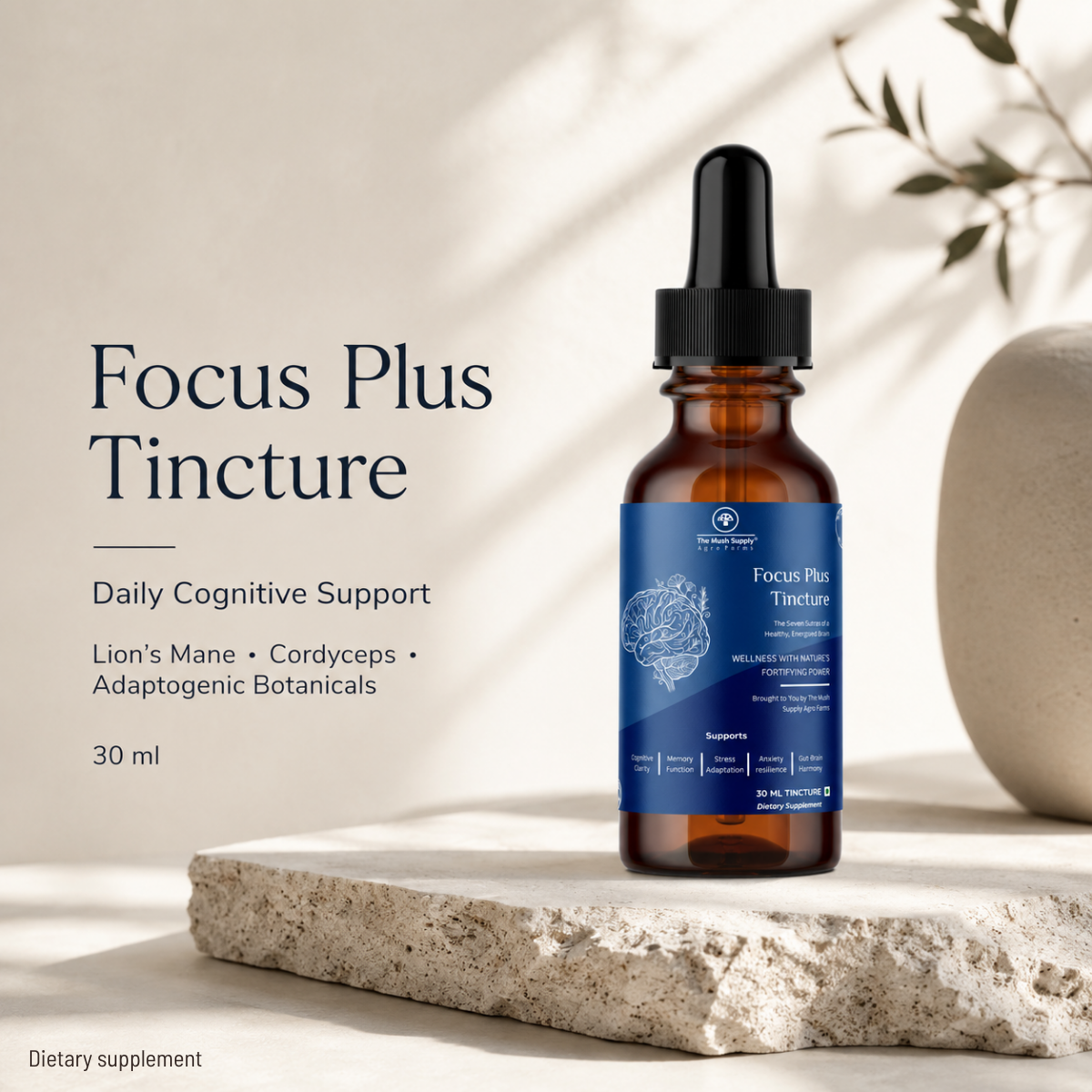 Focus Plus Tincture – Natural Brain & Cognitive Support