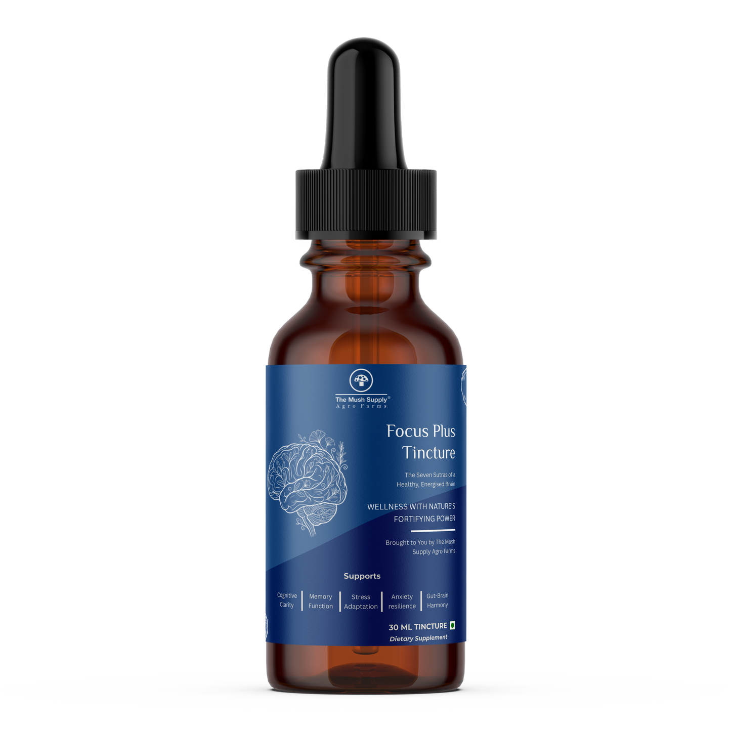 Focus Plus Tincture – Natural Brain & Cognitive Support