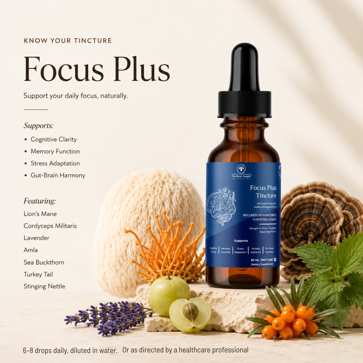 Focus Plus Tincture – Natural Brain & Cognitive Support