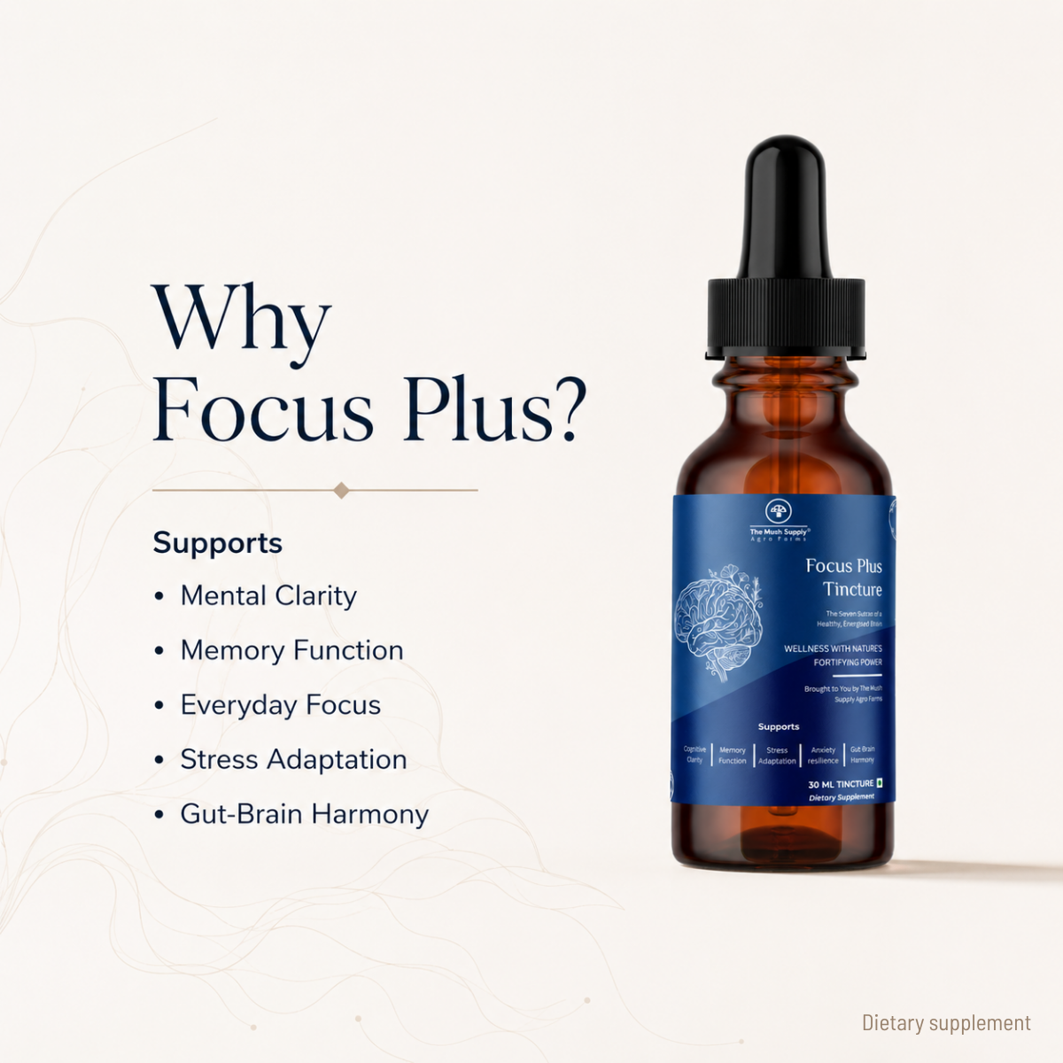 Focus Plus Tincture – Natural Brain & Cognitive Support