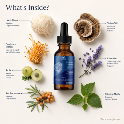 Focus Plus Tincture – Natural Brain & Cognitive Support