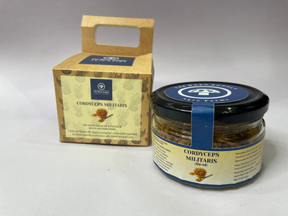 कॉर्डिसेप्स मिलिटेरिस (कीड़ा जड़ी) मशरूम (शुद्ध फलने वाला भाग - 30 ग्राम पैक)
