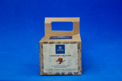 कॉर्डिसेप्स मिलिटेरिस (कीड़ा जड़ी) मशरूम (शुद्ध फलने वाला भाग - 30 ग्राम पैक)