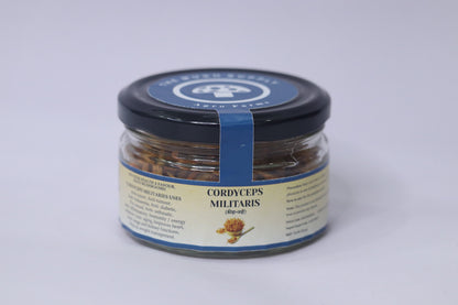 कॉर्डिसेप्स मिलिटेरिस (कीड़ा जड़ी) मशरूम (शुद्ध फलने वाला भाग - 30 ग्राम पैक)