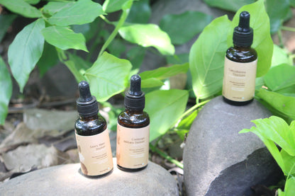 Lion’s Mane Tincture