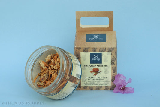 Cordyceps Militaris (KeedaJadi) Mushrooms (Pure fruiting body- 30 gm pack)
