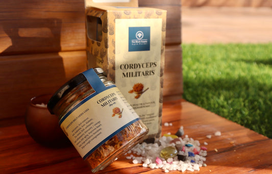 Cordyceps Militaris (KeedaJadi) Mushrooms (pure fruiting body- 100gm pack)