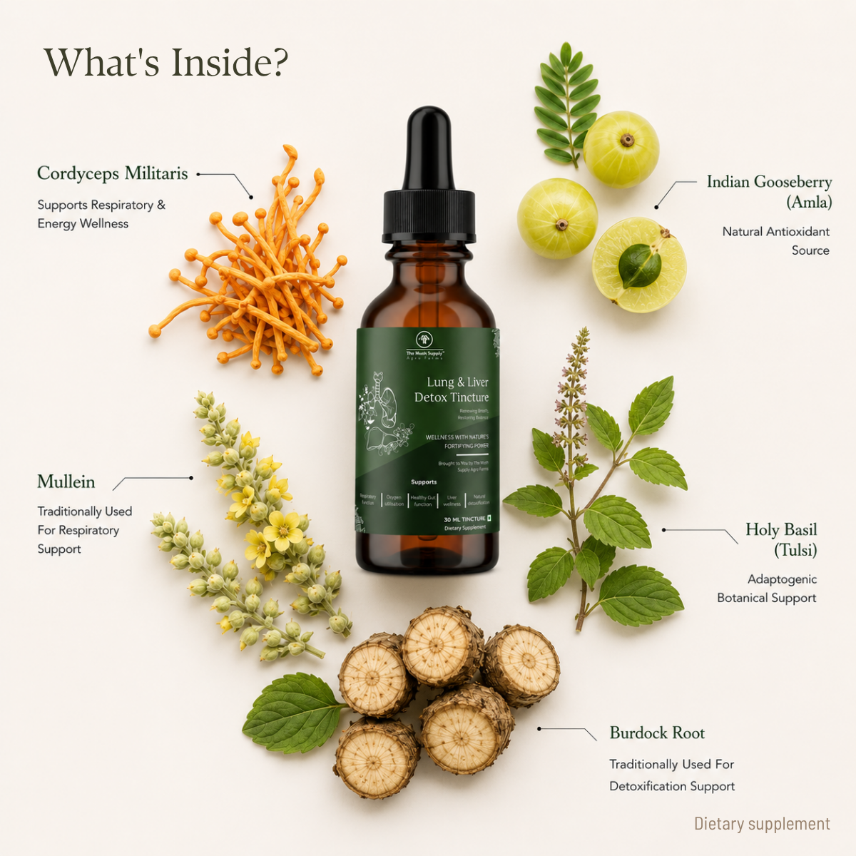 Lung & Liver Detox Tincture – Natural Respiratory & Liver Support