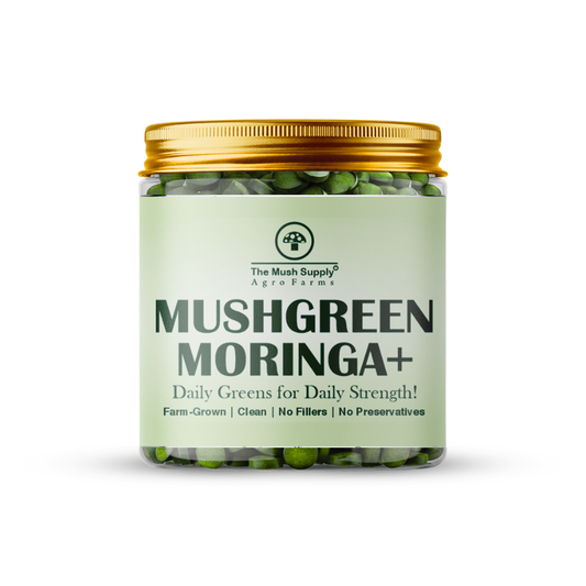 Moringa+ Tablets - 120 Tablets (500 mg each)