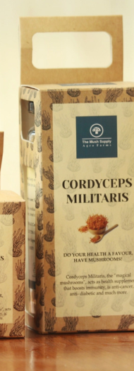 cordyceps