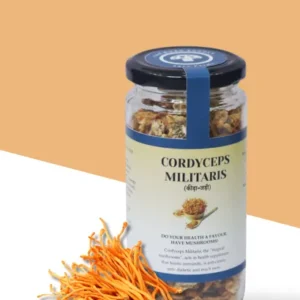 cordyceps